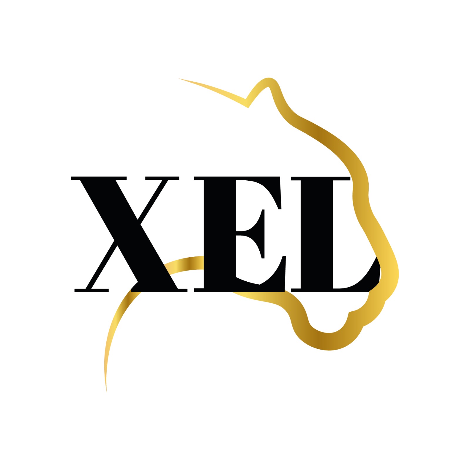 LentesXel